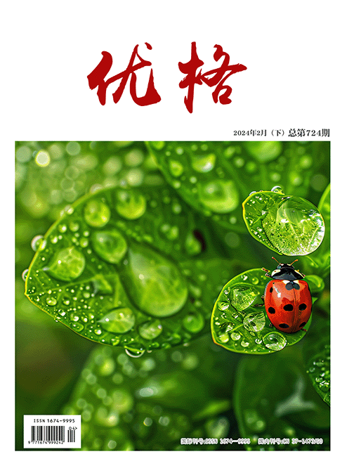 优格杂志封面